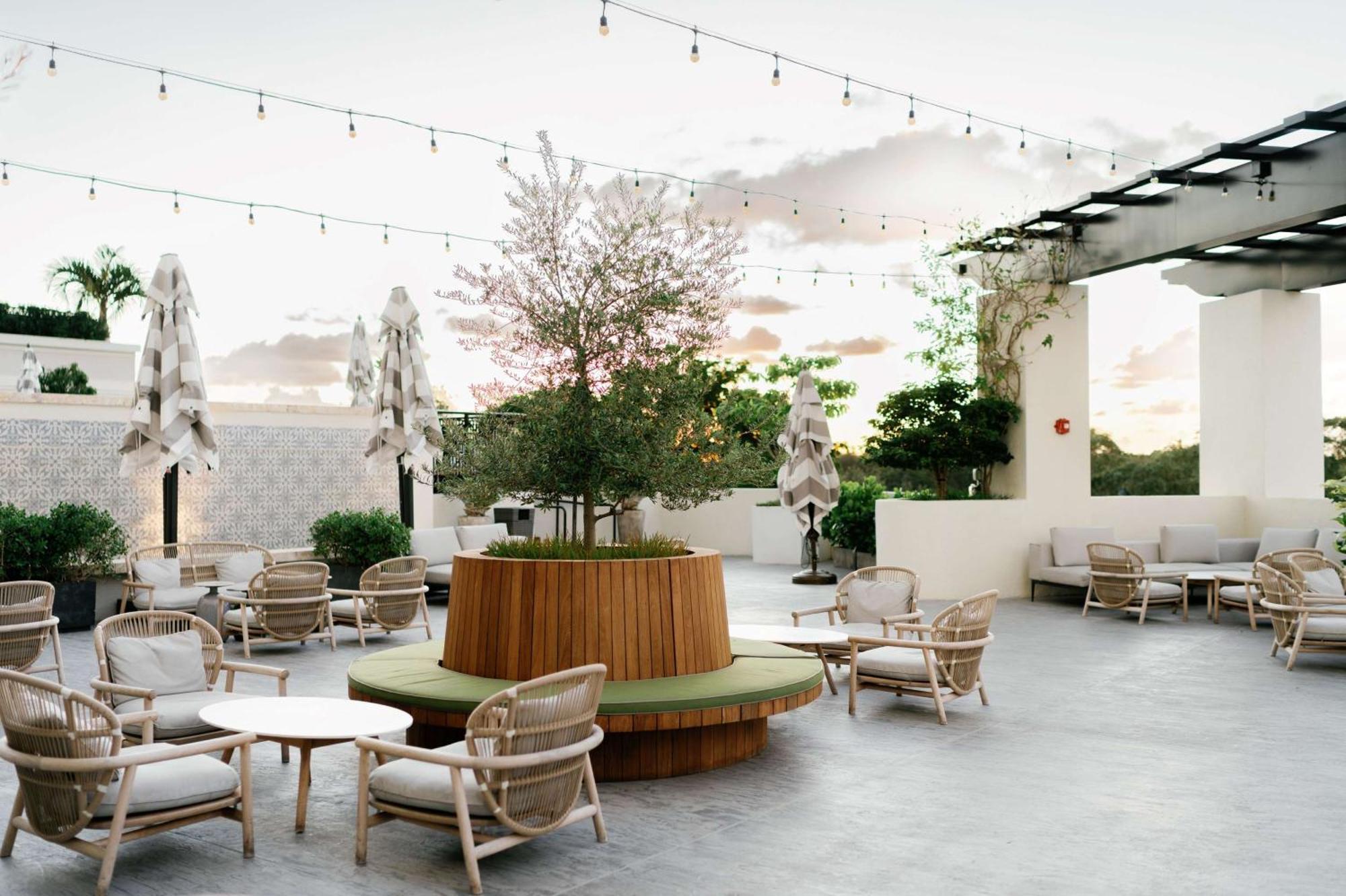 Thesis Hotel Miami Coral Gables, Curio Collection By Hilton מראה חיצוני תמונה